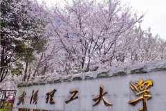 廣東MBA考研調(diào)劑武漢理工大學(xué)有什么條件？