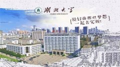 深圳MPA調劑：2021湖北大學MPA預調劑信息